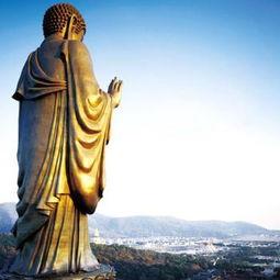 大佛爆料结婚视频大全下载,甜蜜瞬间尽收眼底  第1张